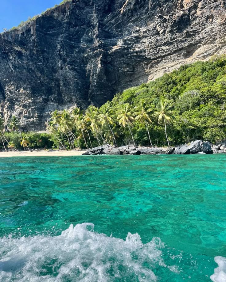 Caso de Éxito CATA Estrategia Digital y Analítica