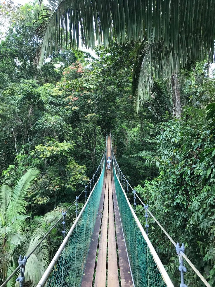 Caso de Éxito CATA Campaña Intrarregional