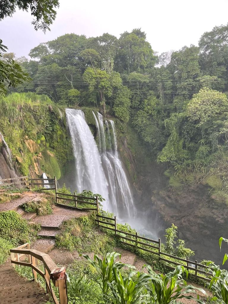 Caso de Éxito WWF Caribe Maya