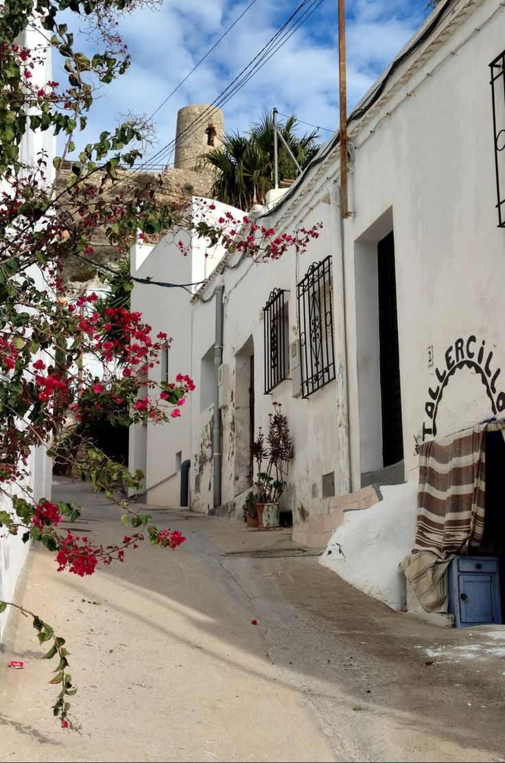 MORETURISMO elaboróó el proyecto de Destino Turístico Inteligente para el Ayuntamiento de Níjar