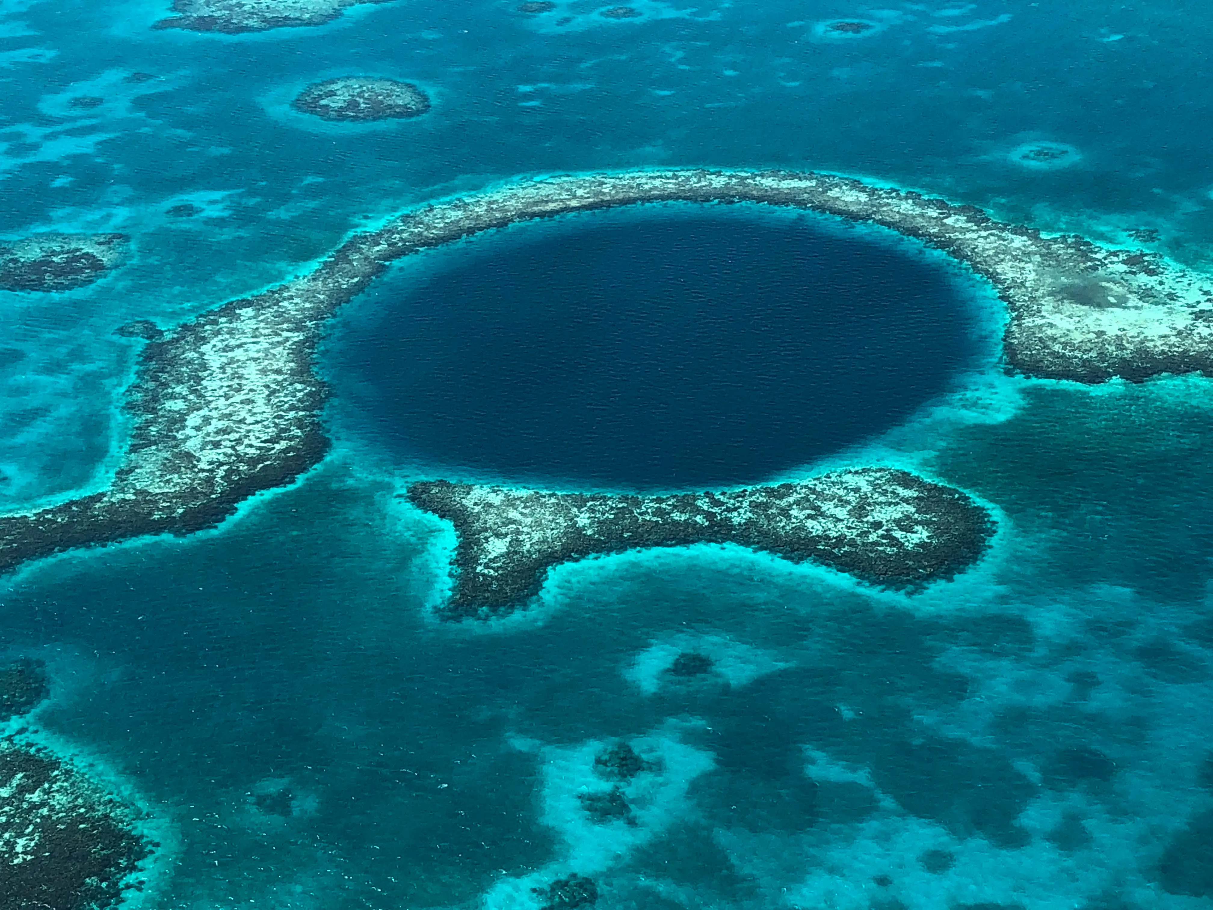 WWF Caribe Maya